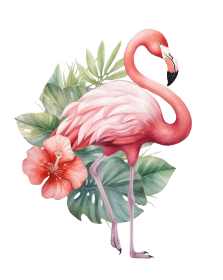 flamingo.webp